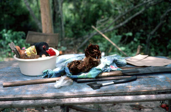Palmetto fibers, collected by Mary Billie for dollmaking, drying in the sun - Big Cypress Reservation, Florida