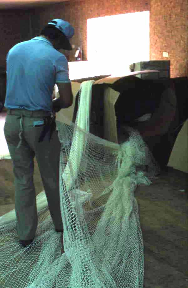 Billy Burbank III removing manufactured netting material from box - Fernandina Beach, Florida