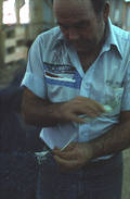 Net maker Billy Burbank II in the middle of repairing a fishing net - Fernandina Beach, Florida