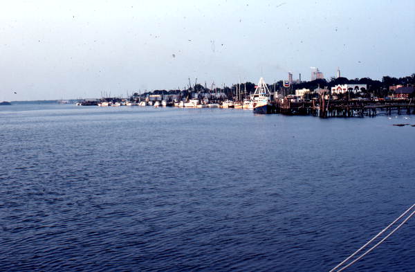 Looking toward the coast - Fernandina Beach, Florida.