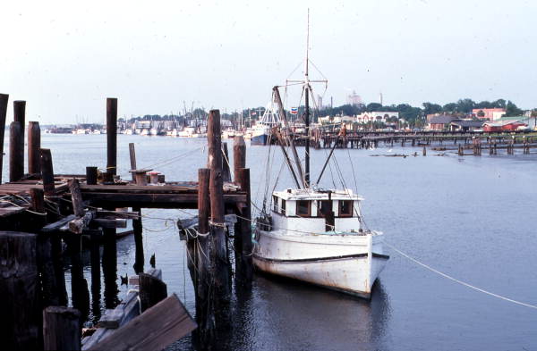 Shrimp boat moored at dock - Fernandina Beach, Florida