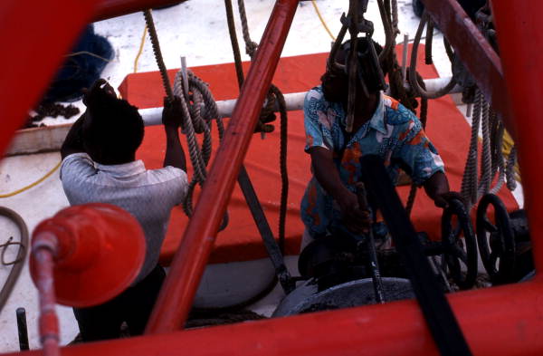 Shrimpers working aboard the "Capt. Daddy" - Fernandina Beach, Florida