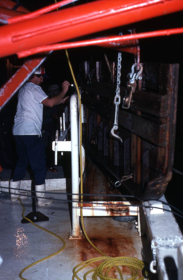 Shrimper, David Cook, at work aboard his boat , the "Capt. Daddy" - Fernandina Beach, Florida