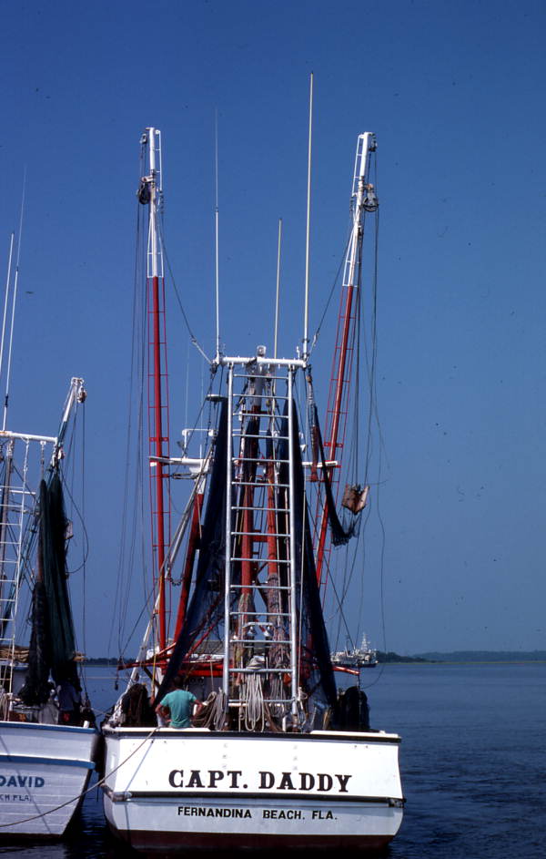 Shrimp boat "Capt. Daddy" - Fernandina Beach, Florida