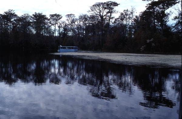 Tour boat from the "Jungle Boat Cruise" moving along - Wakulla Springs, Florida