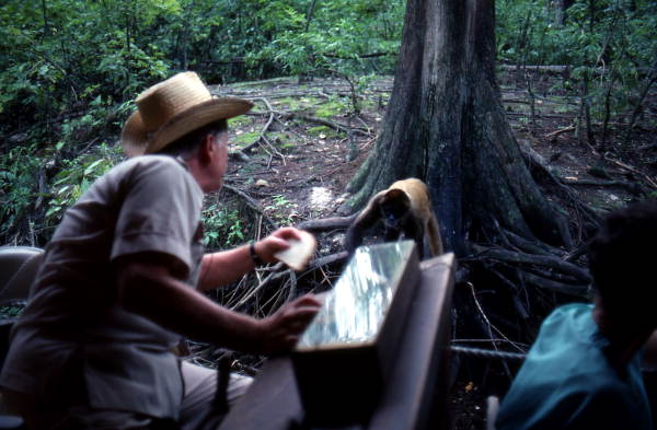 Tour guide Joe Klotz feeding a monkey bread on the Jungle Cruise - Silver Springs, Florida