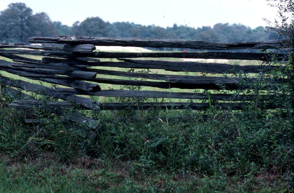 Detail of fence bordering yard - White Springs, Florida.