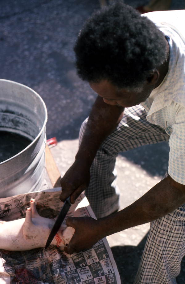 Willie Gillard cutting the head off of the opossum - Tampa, Florida.