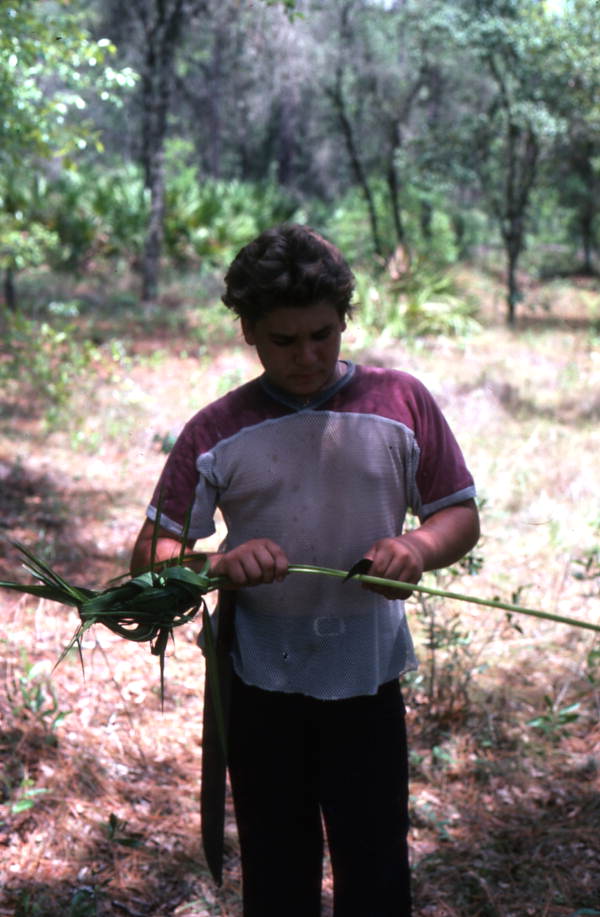 Boy harvesting palmettos - Tampa, Florida.