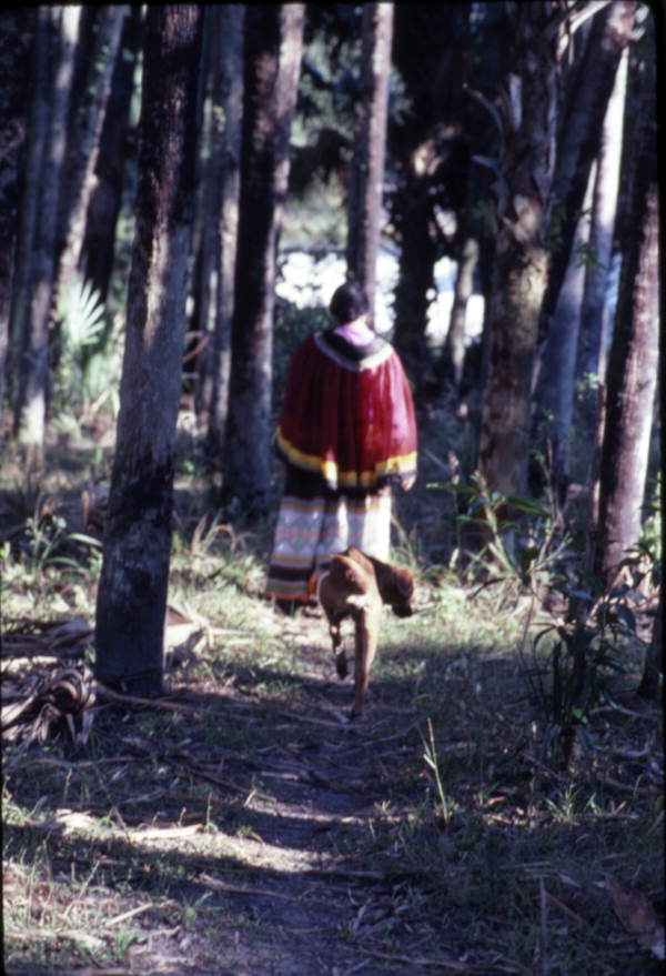 Marian Bowers going to gather palmetto stems, which she uses for making baskets - Brighton Seminole Indian Reservation, Florida.