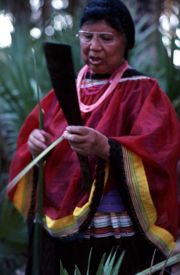 Marian Bowers collecting palmetto stems, which she uses for making baskets - Brighton Seminole Indian Reservation, Florida.