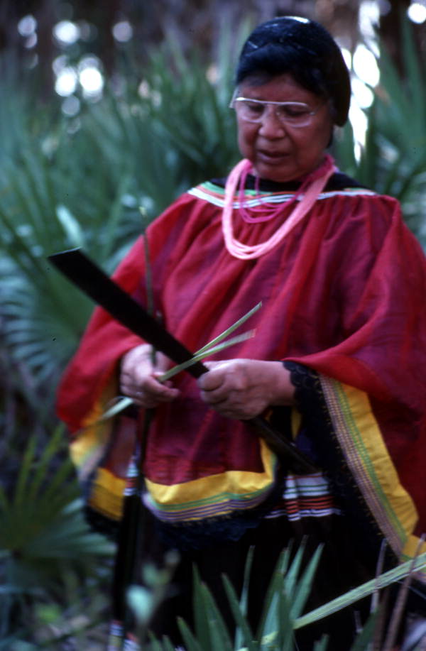 Marian Bowers collecting palmetto stems, which she uses for making baskets - Brighton Seminole Indian Reservation, Florida.