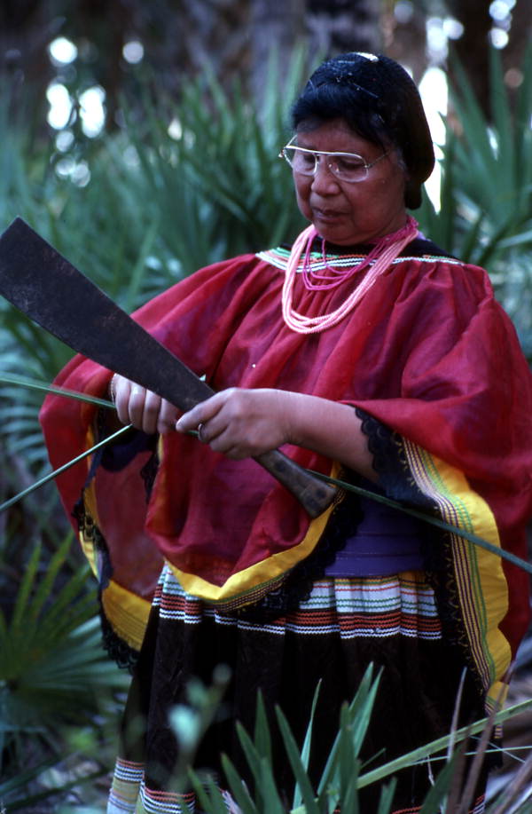 Marian Bowers collecting palmetto stems, which she uses for making baskets - Brighton Seminole Indian Reservation, Florida.