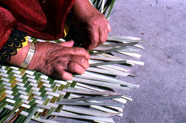Marian Bowers making a palmetto basket - Brighton Seminole Indian Reservation, Florida.