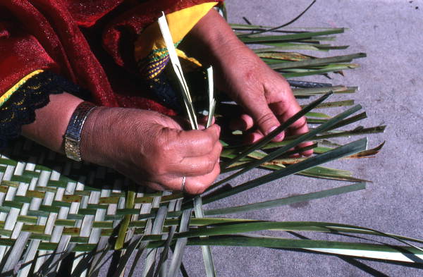Marian Bowers making a palmetto basket - Brighton Seminole Indian Reservation, Florida.