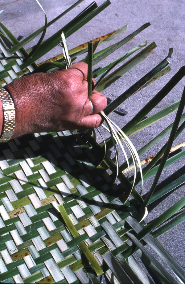 Marian Bowers making a palmetto basket - Brighton Seminole Indian Reservation, Florida.