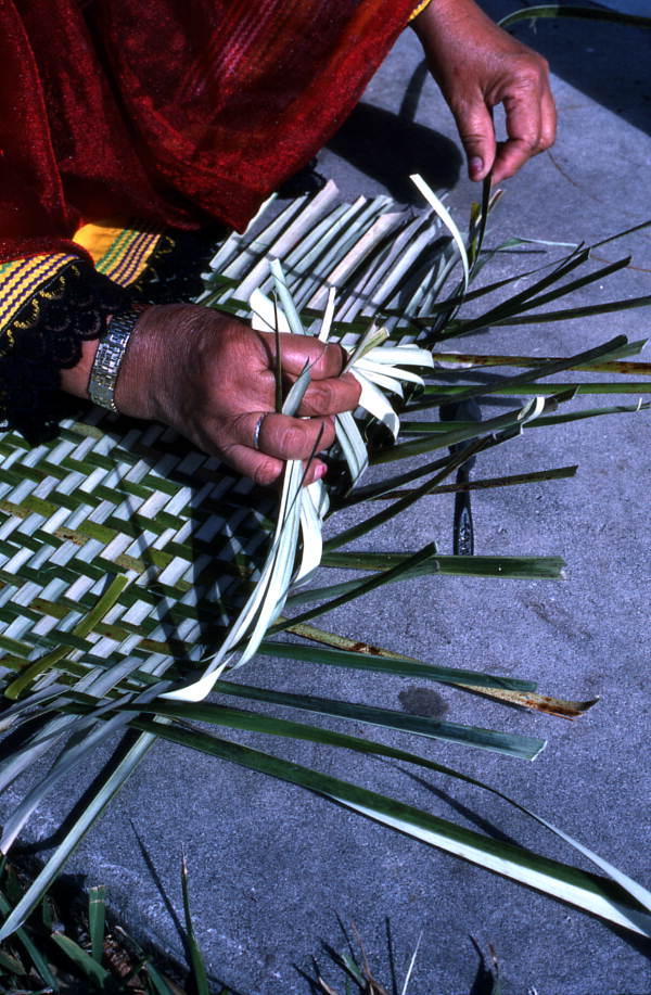 Marian Bowers making a palmetto basket - Brighton Seminole Indian Reservation, Florida.