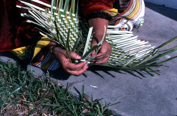 Marian Bowers making a palmetto basket - Brighton Seminole Indian Reservation, Florida.