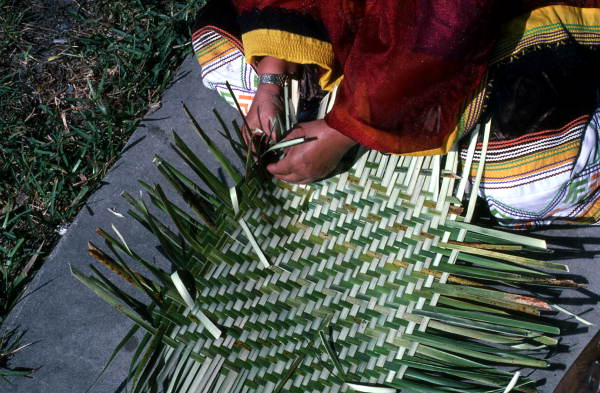 Marian Bowers making a palmetto basket - Brighton Seminole Indian Reservation, Florida.