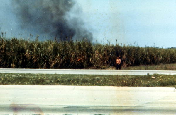 Sugar cane field after being set ablaze - Clewiston Region, Florida