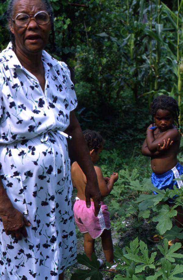 Jesse Mae Newsome collecting plants to make medicine - White Springs, Florida