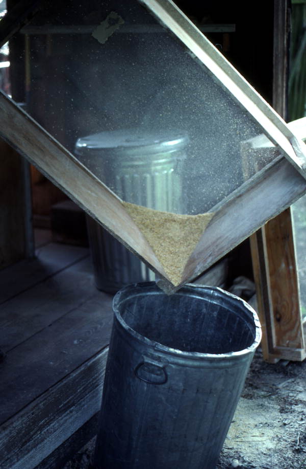 S.M. Blackman pouring corn into a trash can - McAlpin, Florida