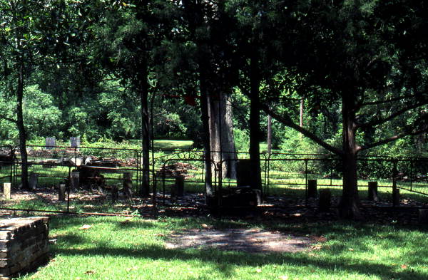 Old cemetery in Madison - Madison, Florida