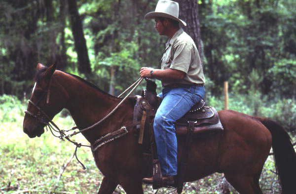 Cowboy Ronnie Sylvester - White Springs, Florida