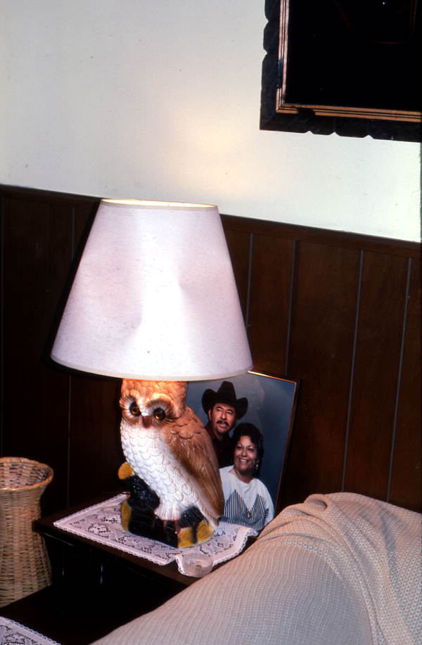 Owl lamp and family photo at the house of Maria Castillos - Pierson, Florida.