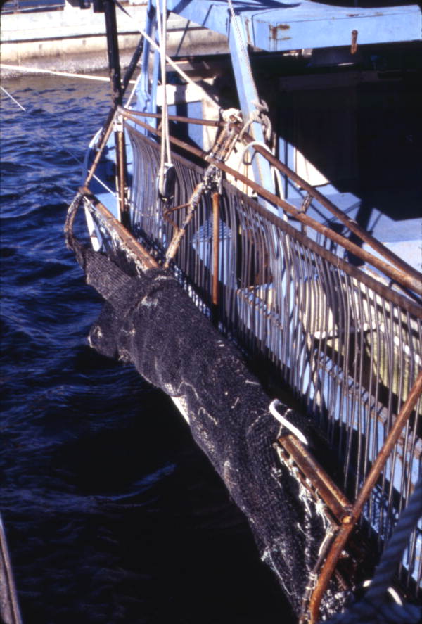 Close-up view of shrimping nets - Ozona, Florida.