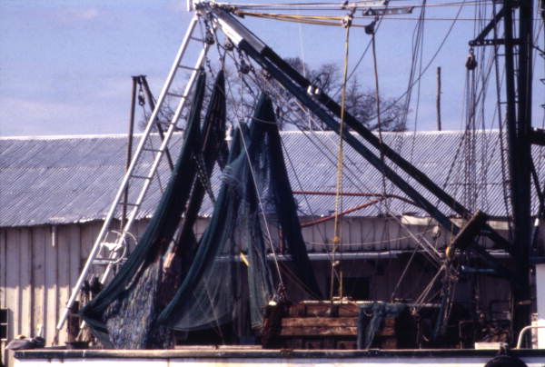 Nets hanging to dry on the shrimp boat..