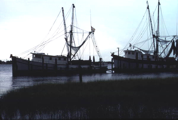 View of shrimp boats - Saint Augustine, Florida.