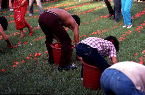 Participants in a tomato picking contest - Florida City, Florida