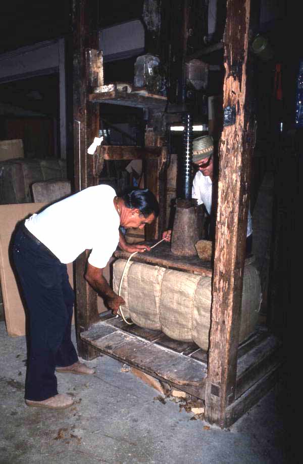 Packing sponges at Arrellano Brothers Sponge Distributors - Miami, Florida.