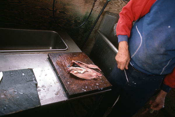 Lloyd's Seafood worker filleting a mullet - Apalachicola, Florida