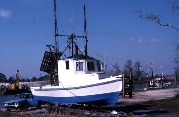 Bay shrimp boat at Mill Pond : Apalachicola, Florida.