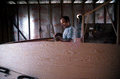Bobby Shiver constructing an oyster skiff's cabin - Eastpoint, Florida