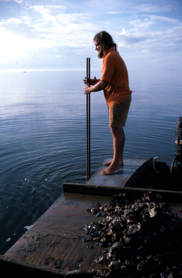 Ken Folsom collects oysters using oyster tongs - Apalachicola Bay, Florida.