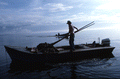 Cletis Anderson tongs for oysters : Apalachicola Bay, Florida.
