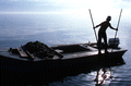 Cletis Anderson using oyster tongs - Apalachicola Bay, Florida.