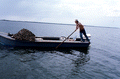 Cletis Anderson using oyster tongs - Apalachicola Bay, Florida.