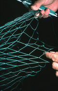 L. Scarabin making a cast net - Apalachicola, Florida