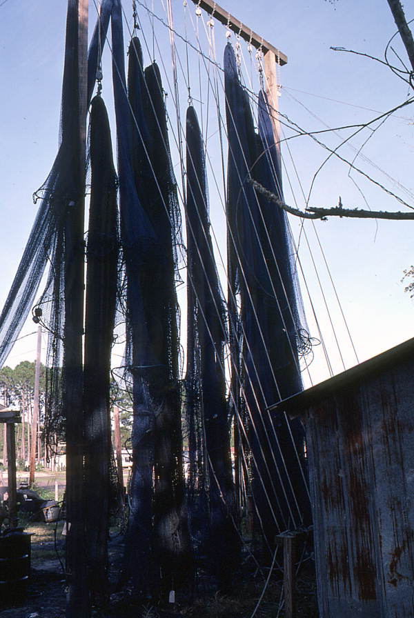 Fishing nets hung to dry behind Golden's net shop - Apalachicola, Florida