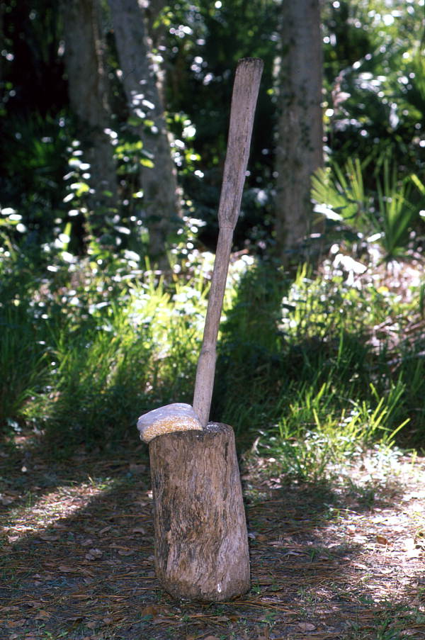 Items used to pound corn - Brighton Reservation, Florida