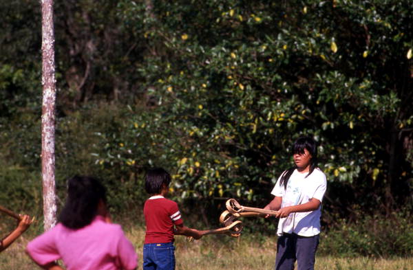 Seminole children playing stick ball - Big Cypress Reservation, Florida