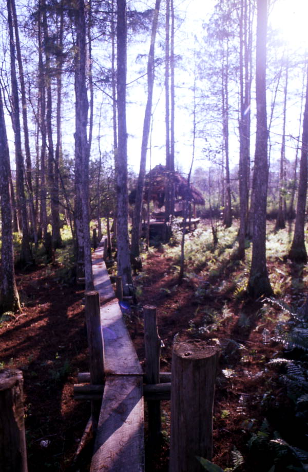 James Billie's compound - Big Cypress Reservation, Florida