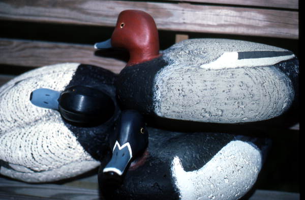 Blue Bill duck decoys by Mike Berg - Jacksonville, Florida.