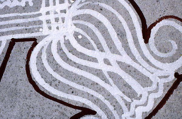 Detail of Vishnivite style Kolam art design made by Prema Kuman - Jacksonville, Florida.