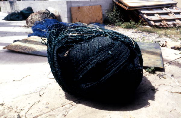 Rail of webbing used to make fishing nets - Jacksonville, Florida.
