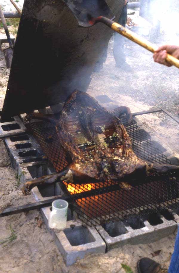 Lechon being barbecued - Jacksonville, Florida
